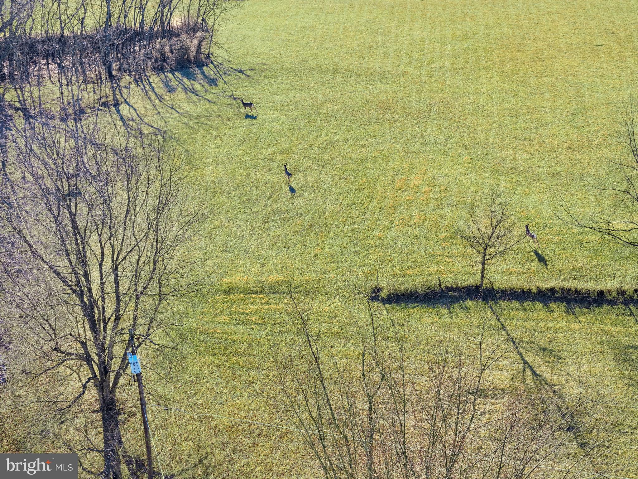 108 Rebel Drive Falling Waters, WV 25419 - Photo 9 of 27