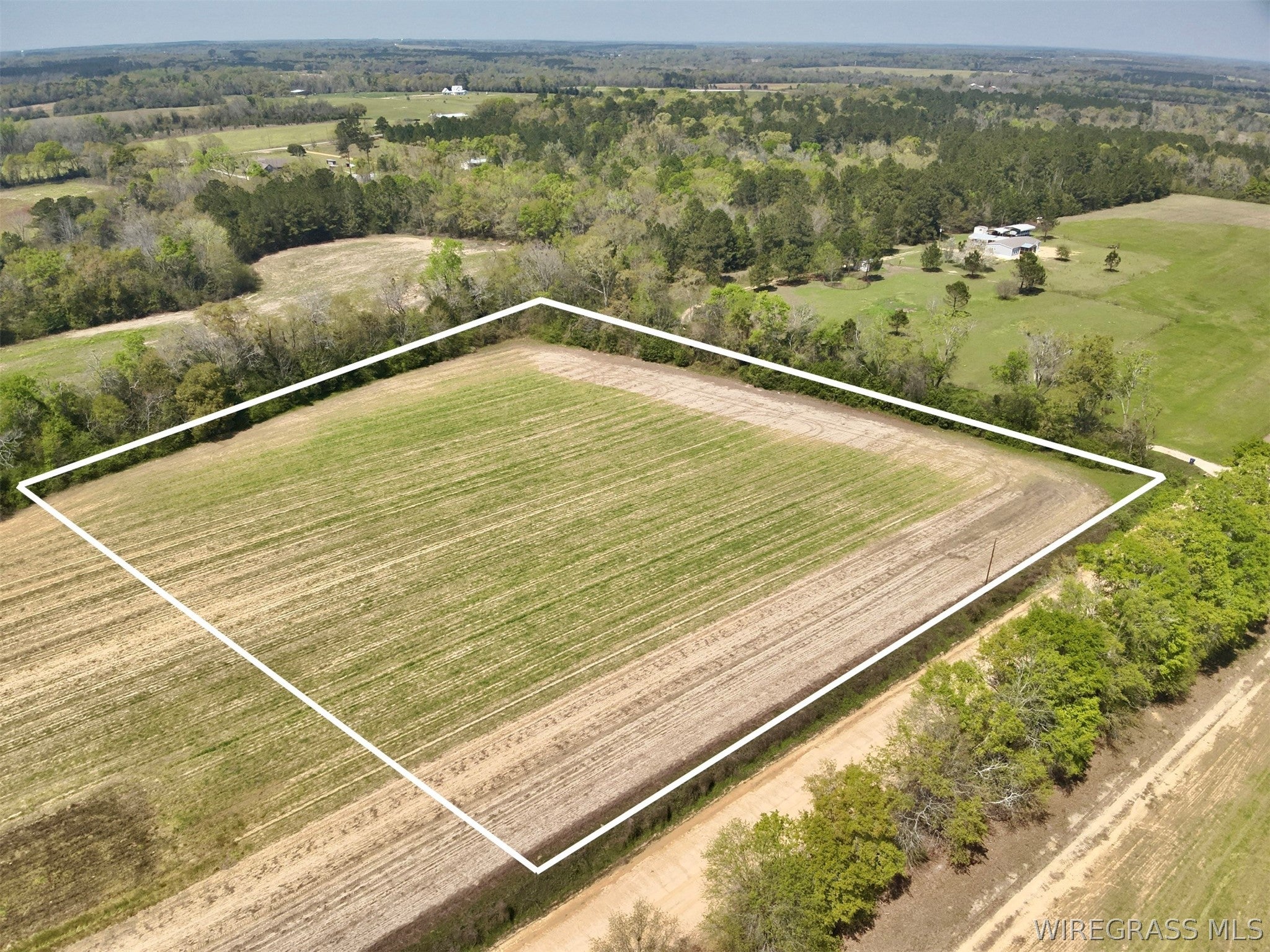 4-acres Dillard Road Ashford, AL 36312 - Photo 1 of 8 Gallery Image 1