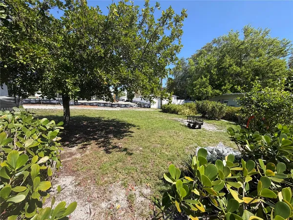 a view of a garden with a tree