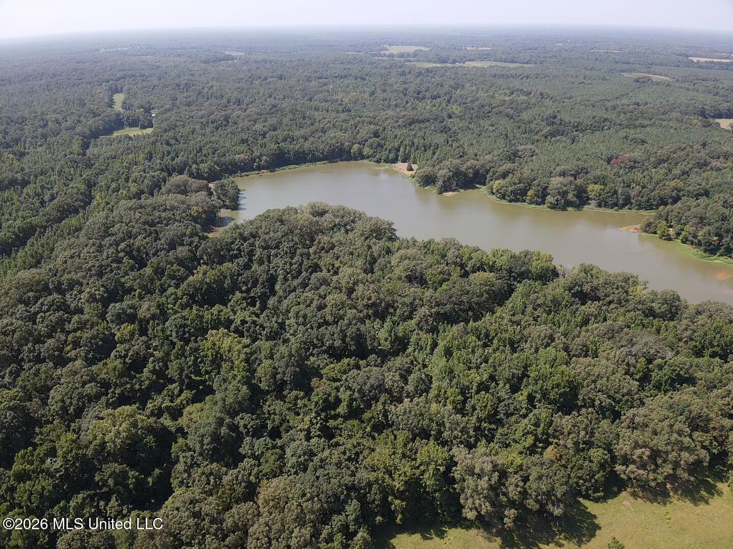 Wildwood Road Vaughan, MS 39179 - Photo 15 of 51 2026-07-28-11-01-00-629