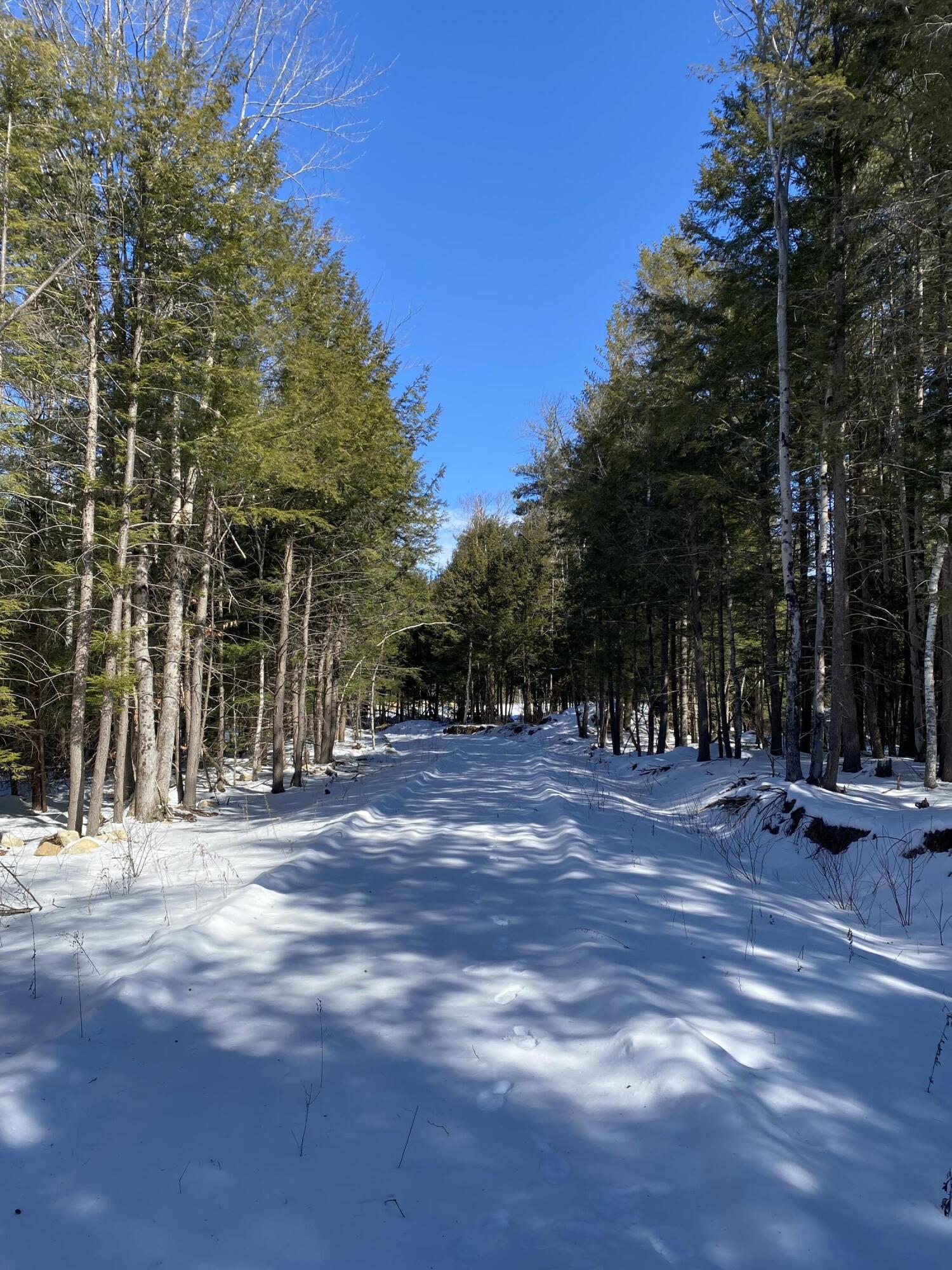 Lot 3 Autumn Lane Alfred, ME 04002 - Photo 4 of 21 driveway