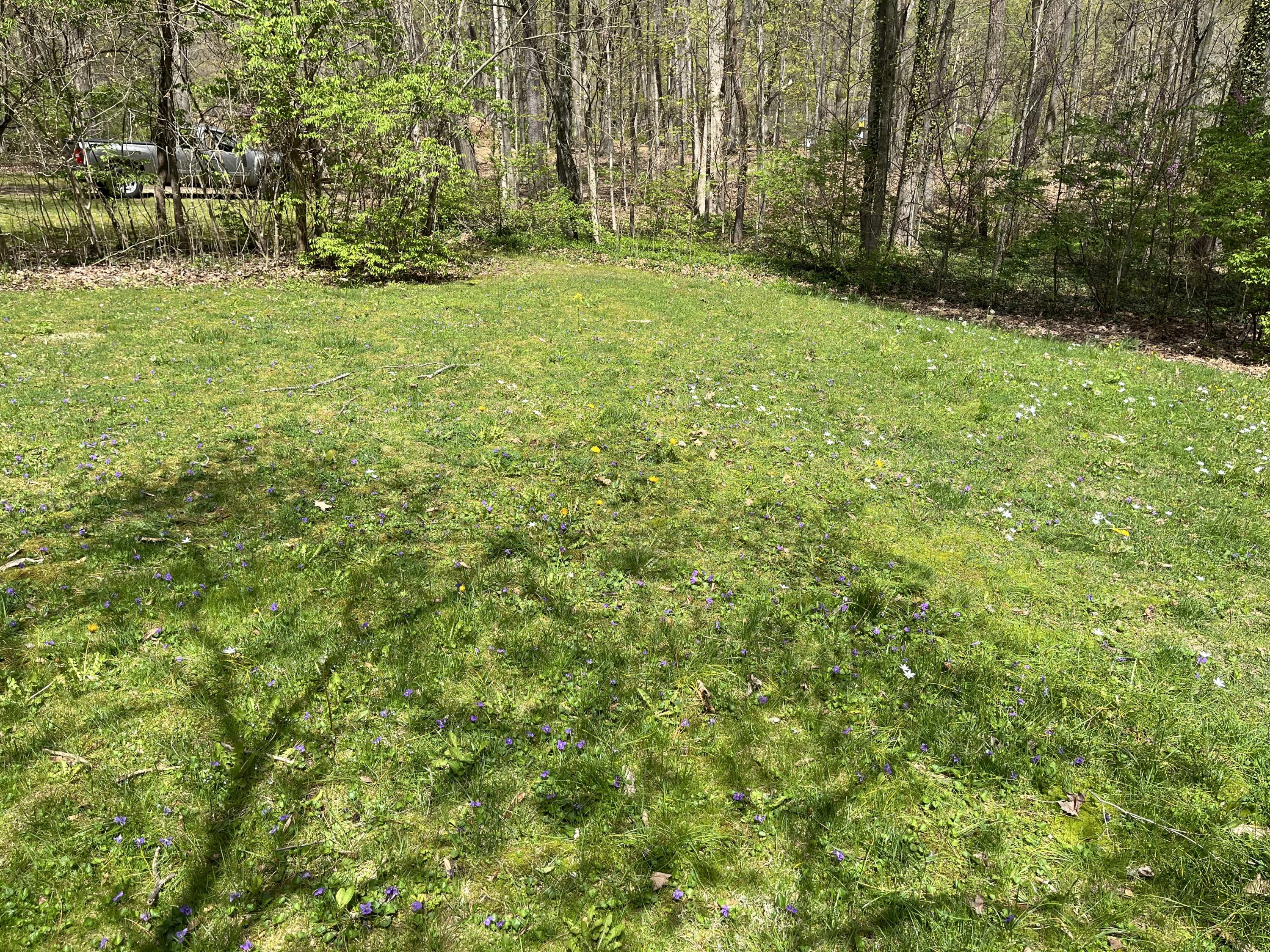 4336 Hills Haven Road Buchanan, MI 49107 - Photo 11 of 16 IMG_2911