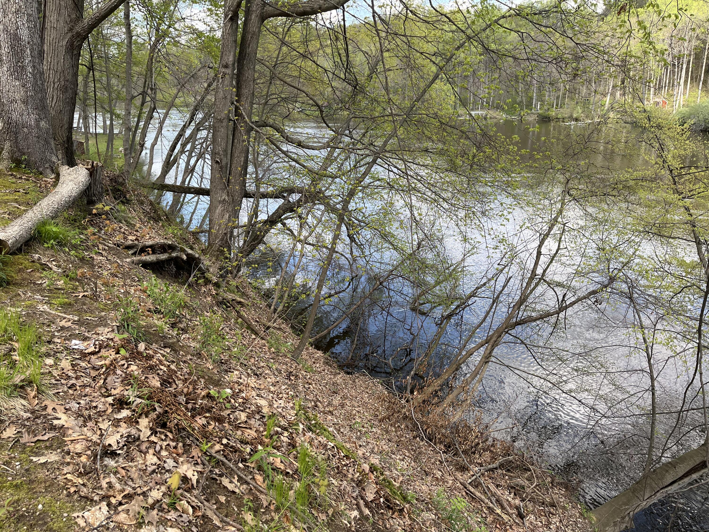 4336 Hills Haven Road Buchanan, MI 49107 - Photo 3 of 16 IMG_2913