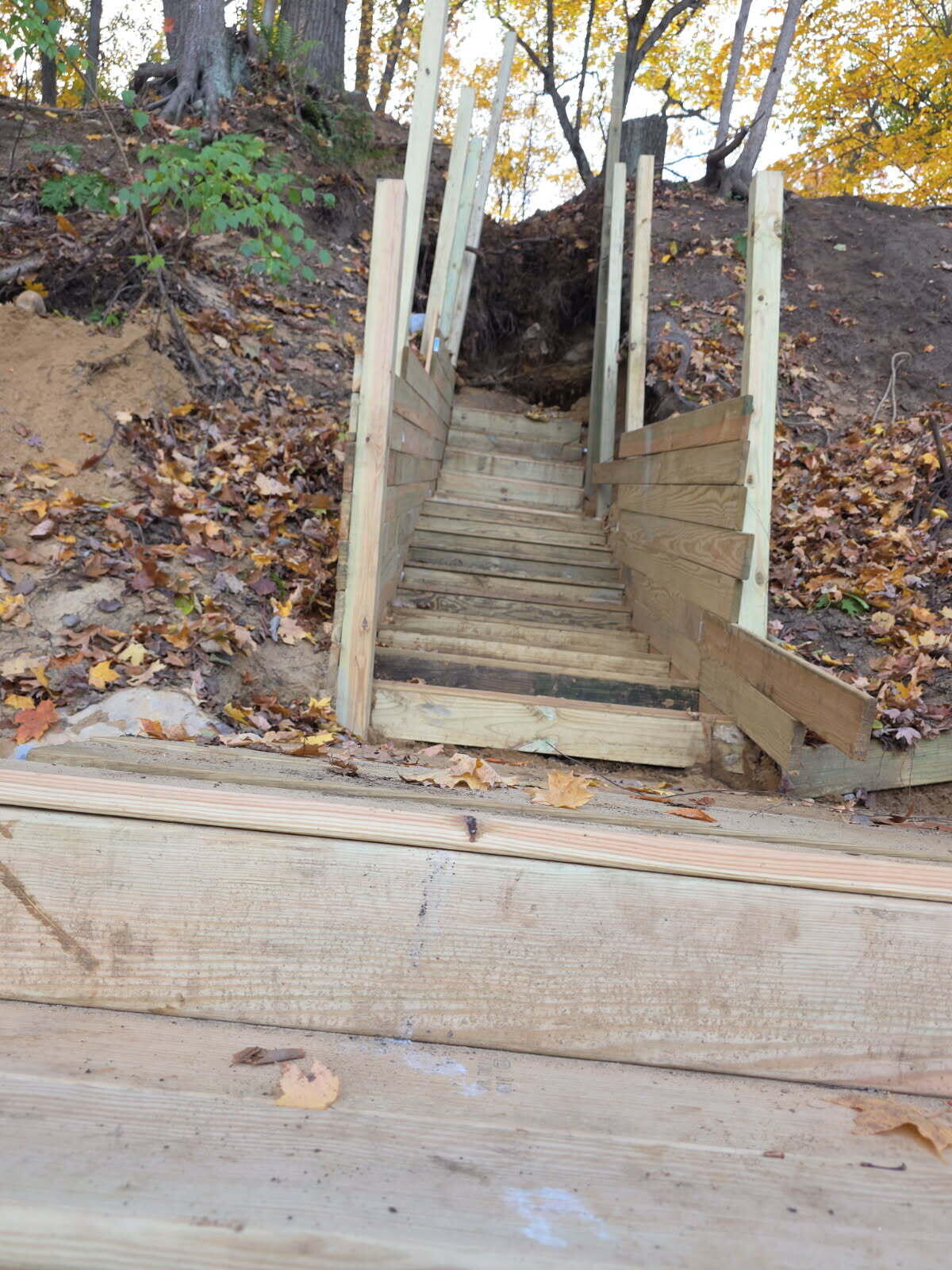 4336 Hills Haven Road Buchanan, MI 49107 - Photo 4 of 16 image000000