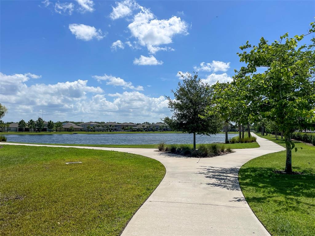 11005 Rockledge View Drive Riverview, FL 33579 - Photo 42 of 51