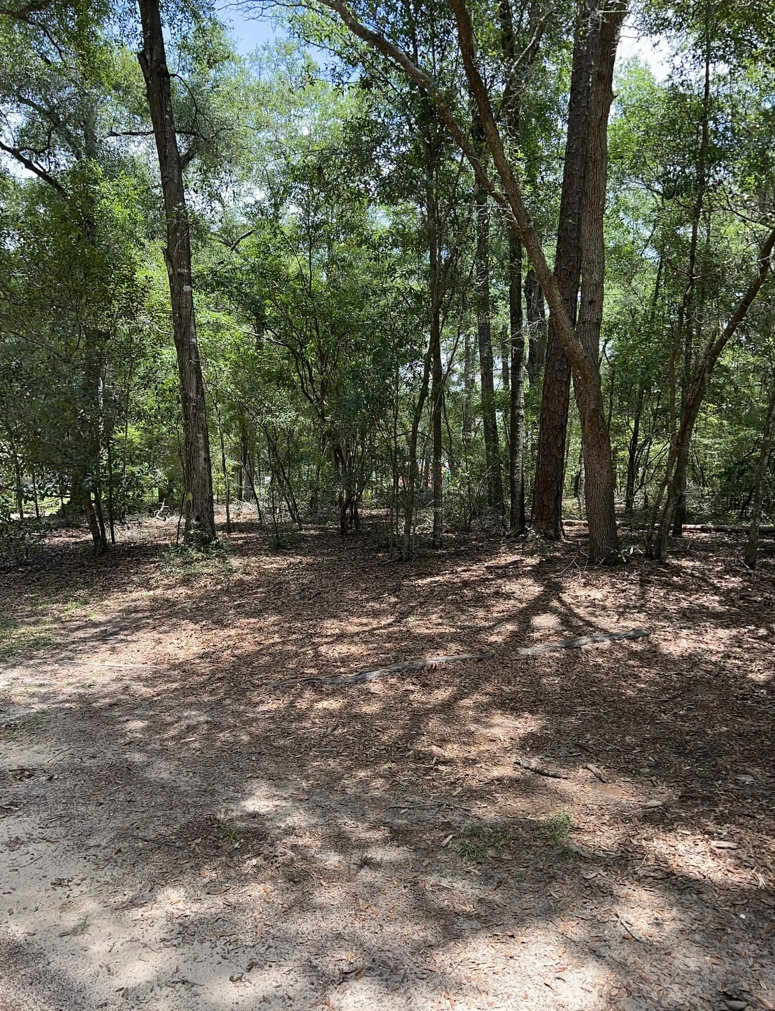 8043 Baby Farm Road Tallahassee, FL 32310 - Photo 17 of 22