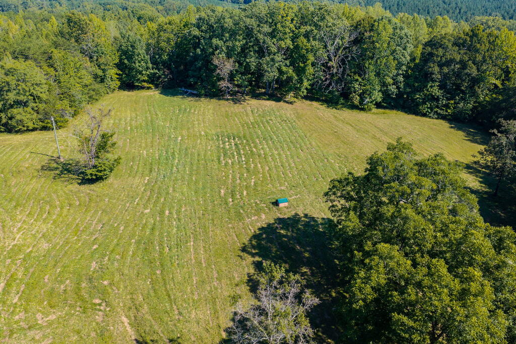 Lees Mill Road, Unit 3 Chase City, VA 23924 - Photo 45 of 64 Gallery Image 45