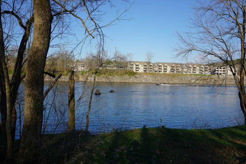 0 Iowa Colony Road Hollister, MO 65672 - Photo 1 of 23 VIEW ACROSS LAKE