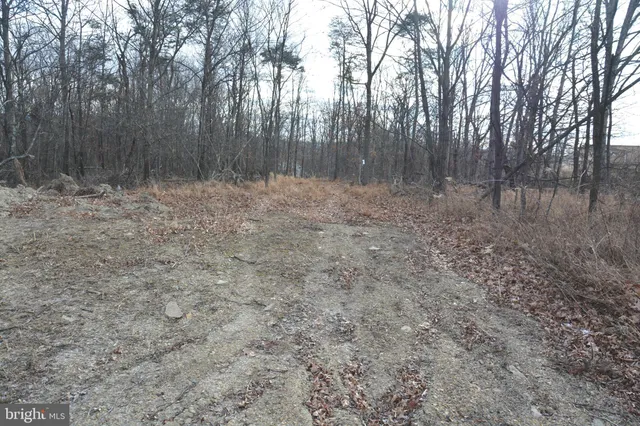 $109,900 | South Timber Ridge Road, Cross Junction, VA 22625