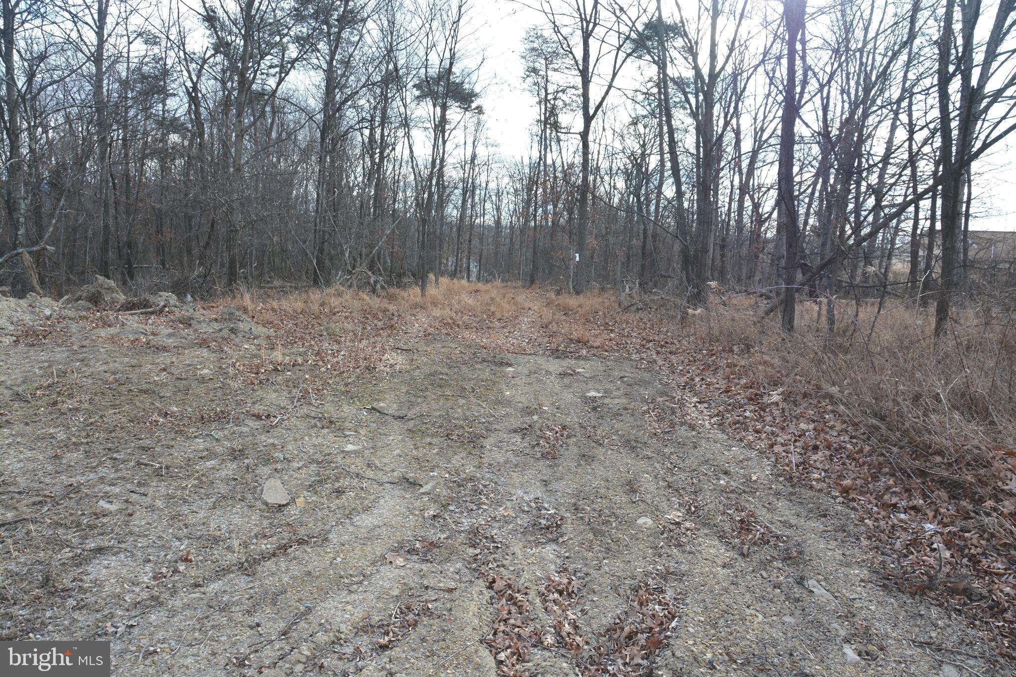 South Timber Ridge Road Cross Junction, VA 22625 - Photo 1 of 7 Easy access off state road. NO HOA. 5+ acres.