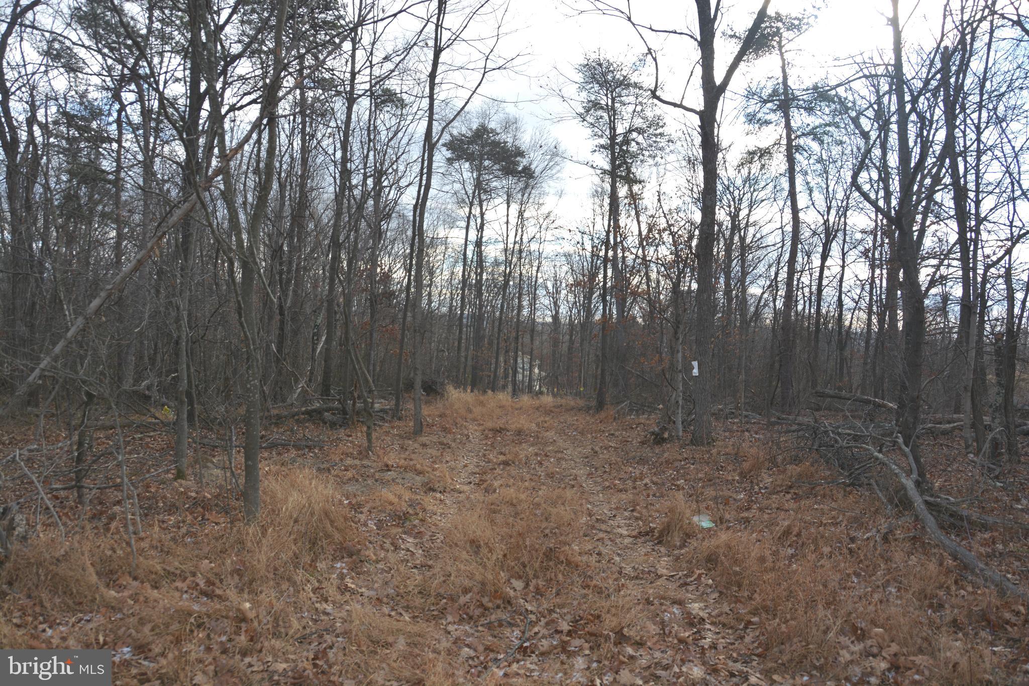South Timber Ridge Road Cross Junction, VA 22625 - Photo 2 of 7 Pre-existing path down side of lot