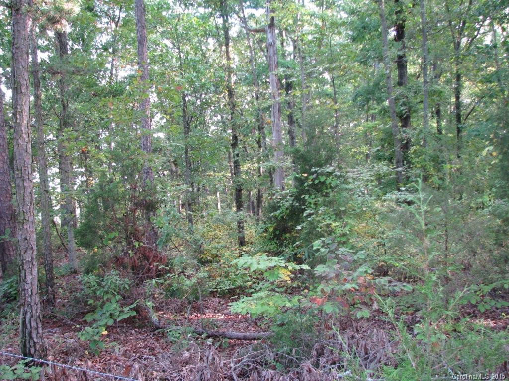 10-ac Armenia Road Chester, SC 29706 - Photo 5 of 8 a view of a lush green forest