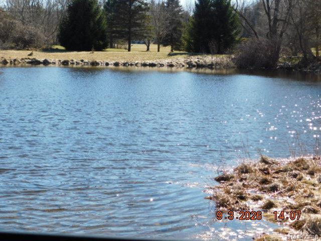 3816 5 Lakes Road North Branch, MI 48461 - Photo 10 of 21