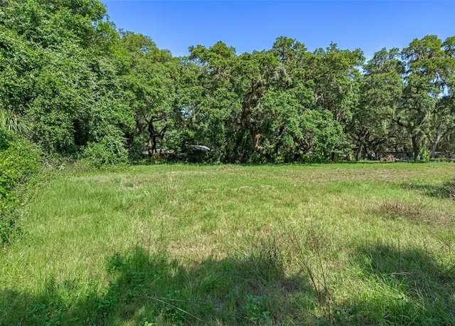 a view of a grassy field with trees in the background