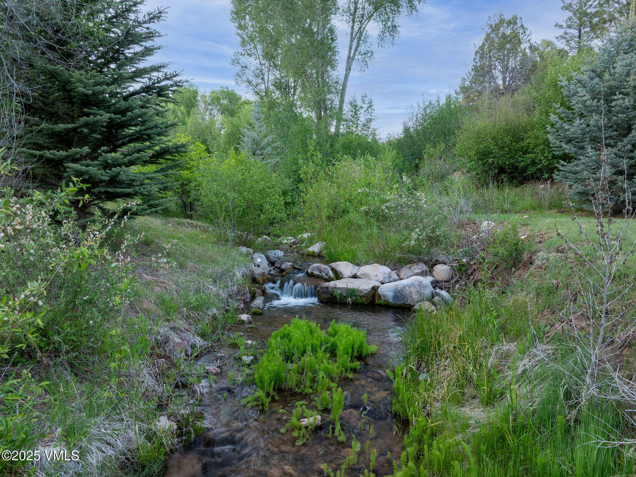 1794 Eby Creek Road Eagle, CO 81631 - Photo 31 of 45 a view of a lush green park