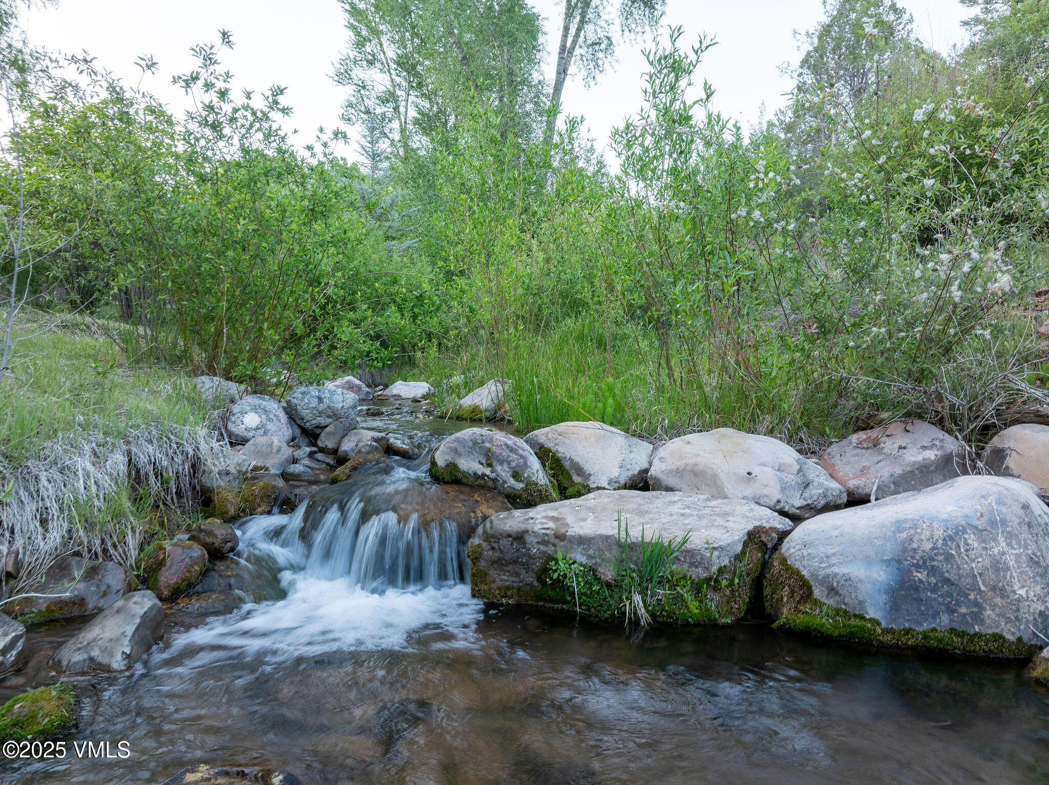 1794 Eby Creek Road Eagle, CO 81631 - Photo 32 of 45 a view of a street with some trees