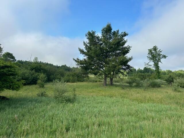 V/l Buchanan Road Stanwood, MI 49346 - Photo 3 of 9 IMG_6117