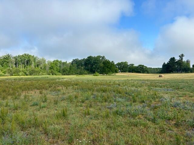 V/l Buchanan Road Stanwood, MI 49346 - Photo 5 of 9 IMG_6116