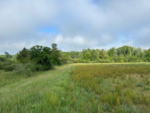 V/l Buchanan Road Stanwood, MI 49346 - Photo 6 of 9 IMG_6118