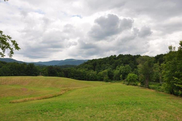 44 Duncan Branch Road Meadow Bridge, WV 25976 - Photo 2 of 35 Gallery Image 2