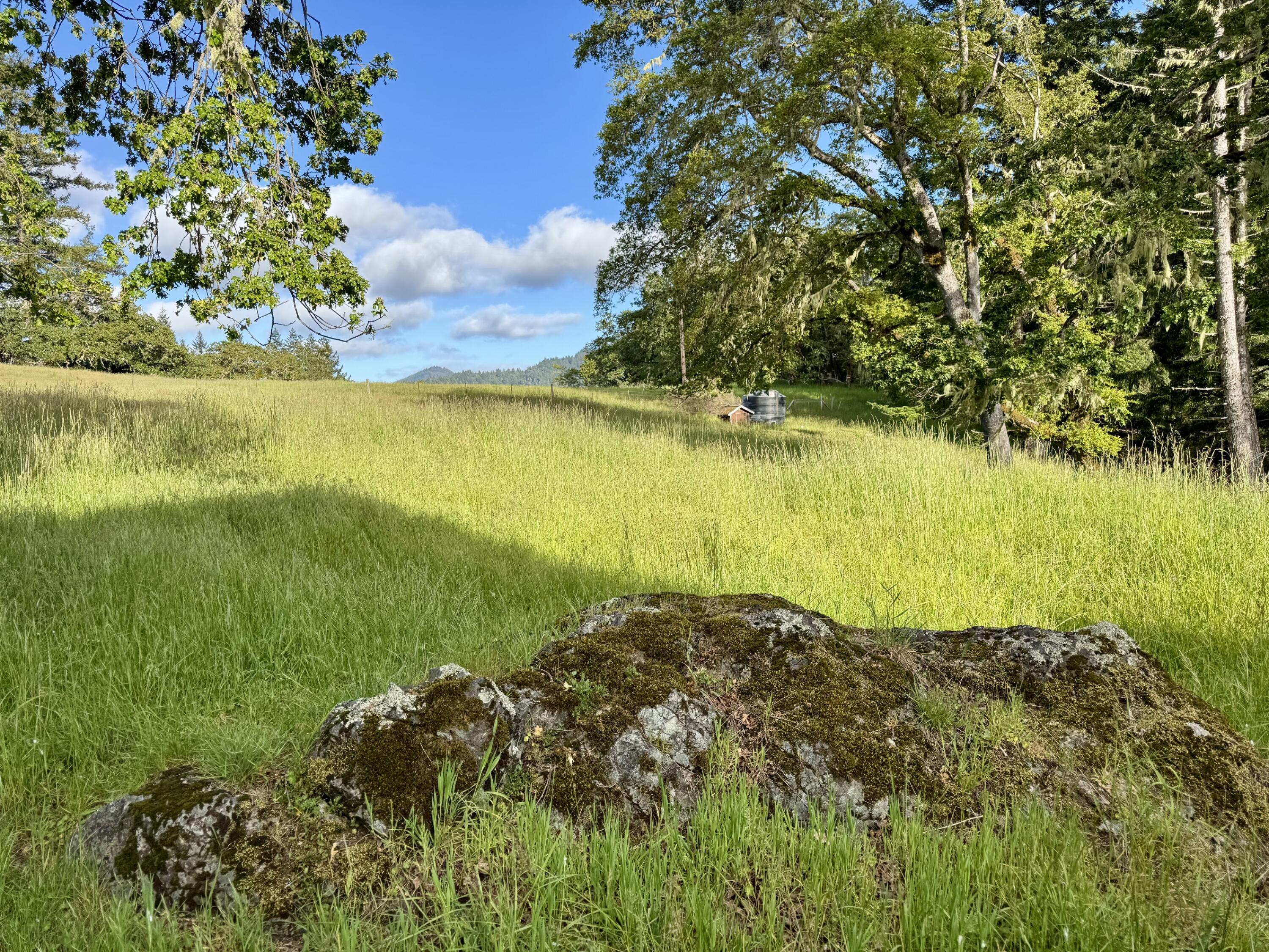1460 Tim Mullen Road Kneeland, CA 95549 - Photo 20 of 93