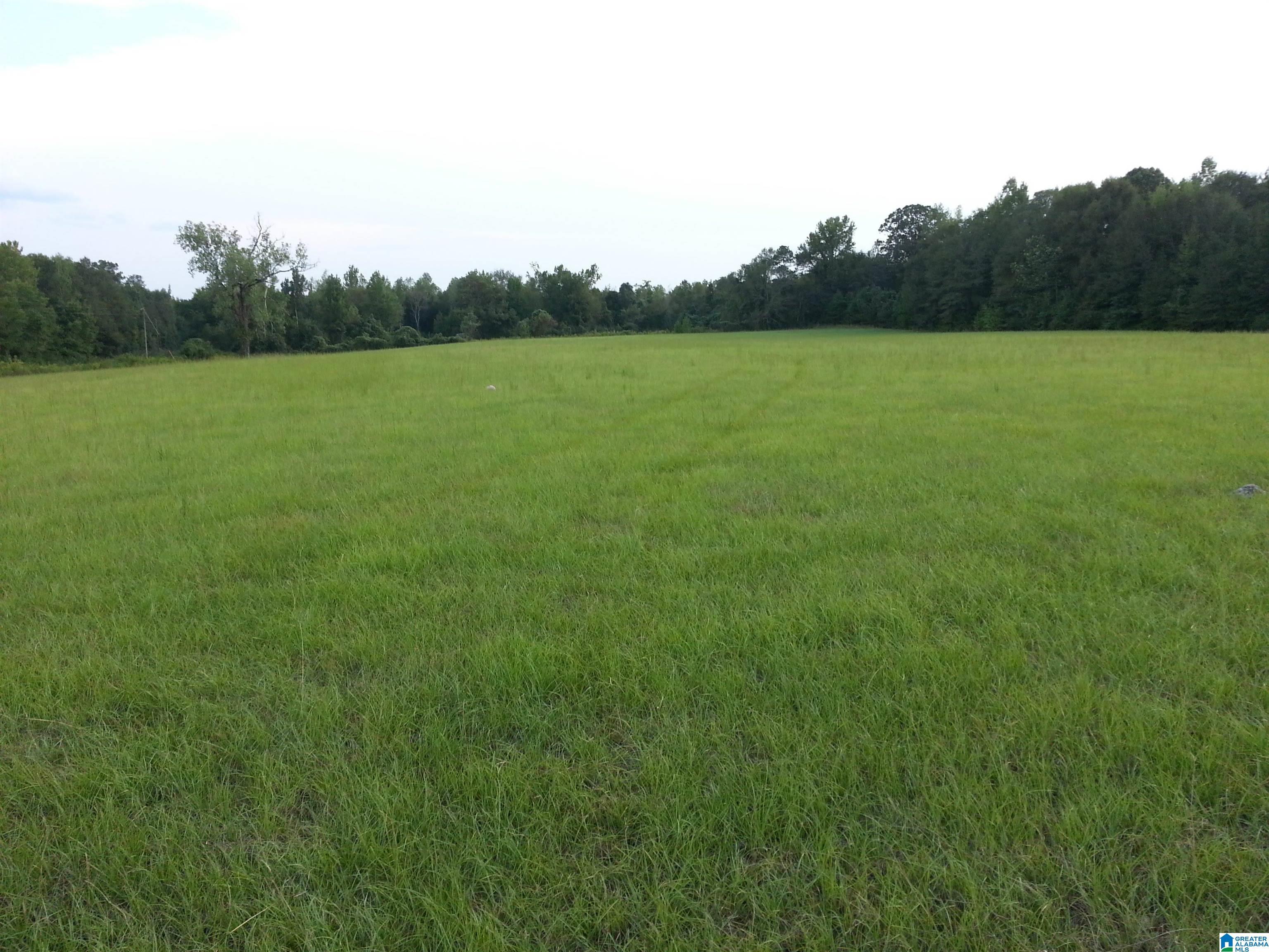 0 County Road 89 Fayette, AL 35555 - Photo 6 of 8