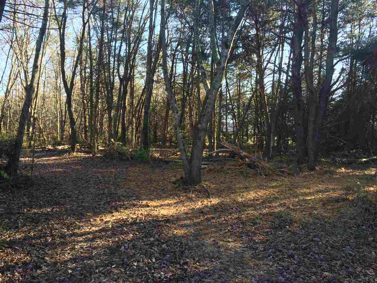 Tbd Newtown Road Elkton, VA 22827 - Photo 2 of 3 Partially cleared cedar and hardwood forest provide privacy