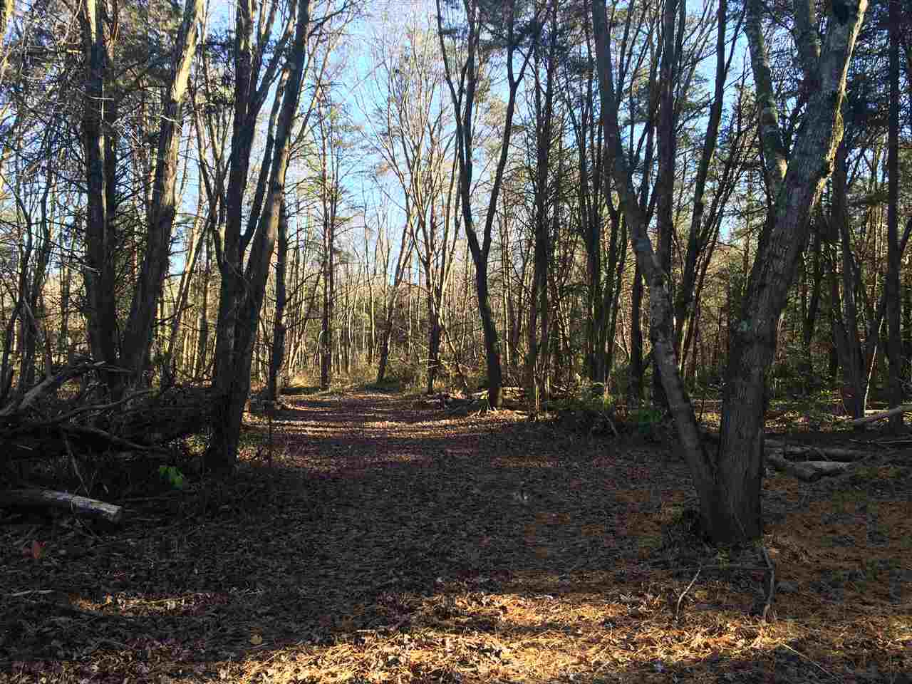 Tbd Newtown Road Elkton, VA 22827 - Photo 3 of 3 Gallery Image 3