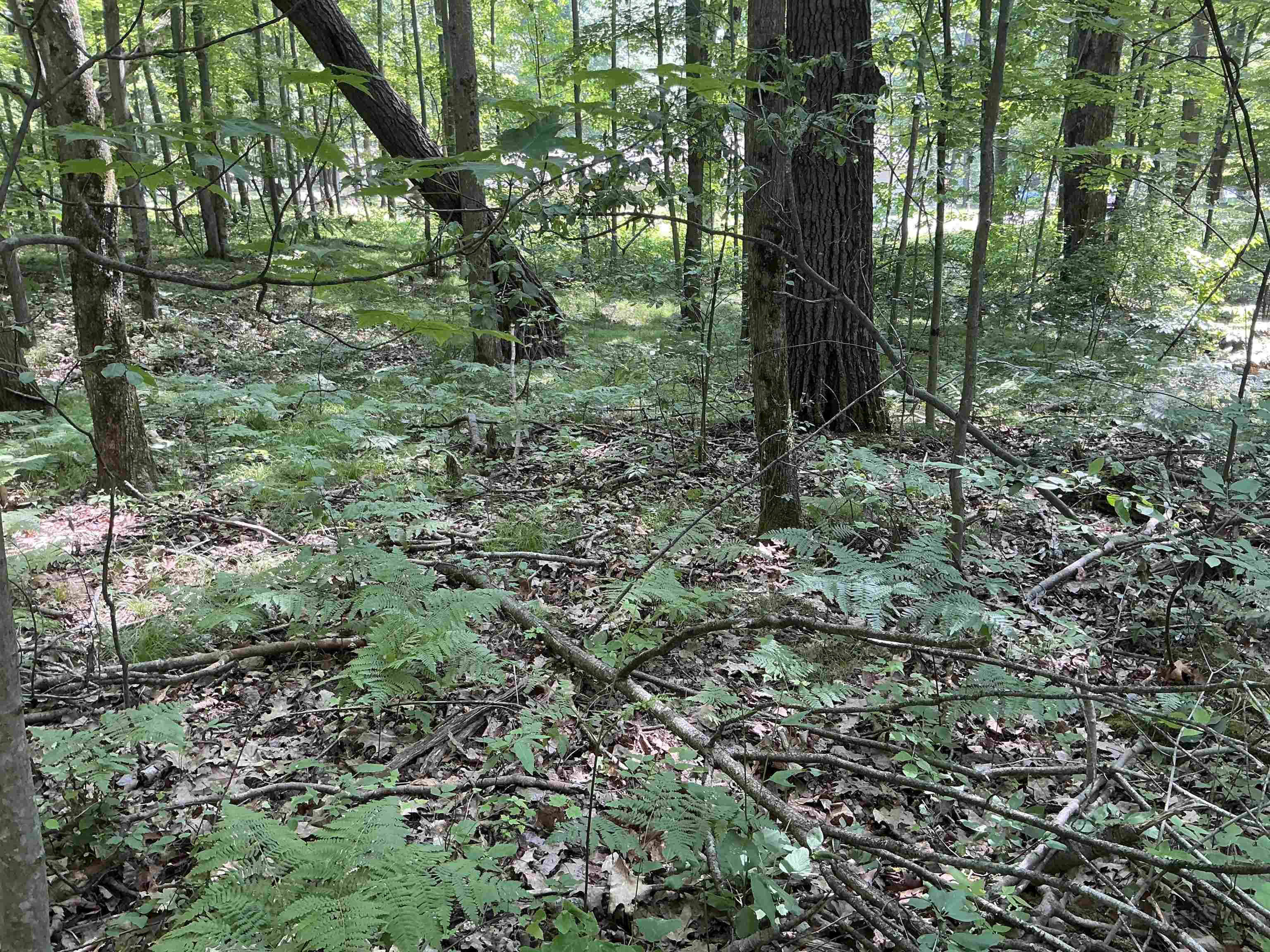115 West Ridge Circle Leroy, MI 49655 - Photo 2 of 7 Gallery Image 2