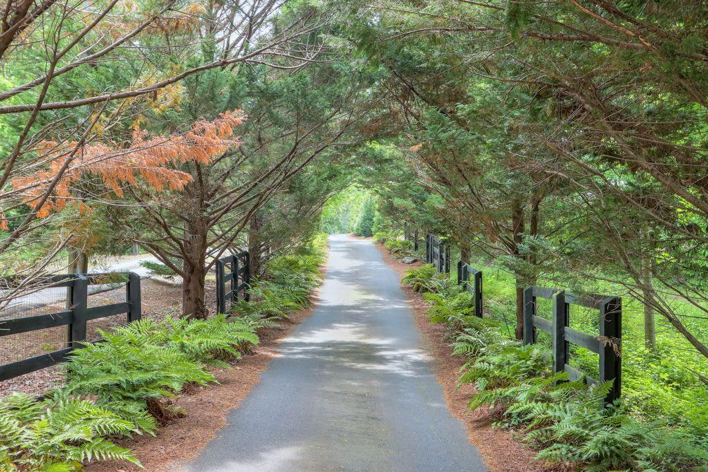 11015 Stroup Road Roswell, GA 30075 - Photo 112 of 113 a view of a pathway both side of house