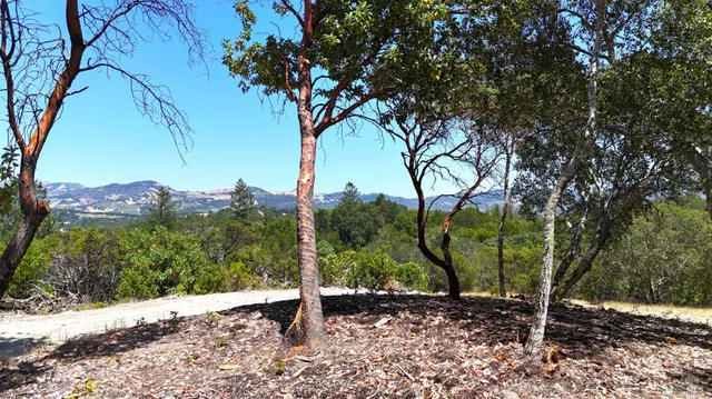 a view of backyard space