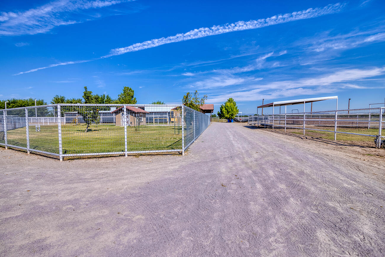 656 Cox Road El Paso, TX 79932 - Photo 54 of 74 A Few of the Pastures