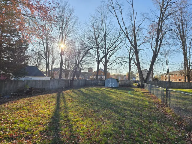 a view of backyard with tree