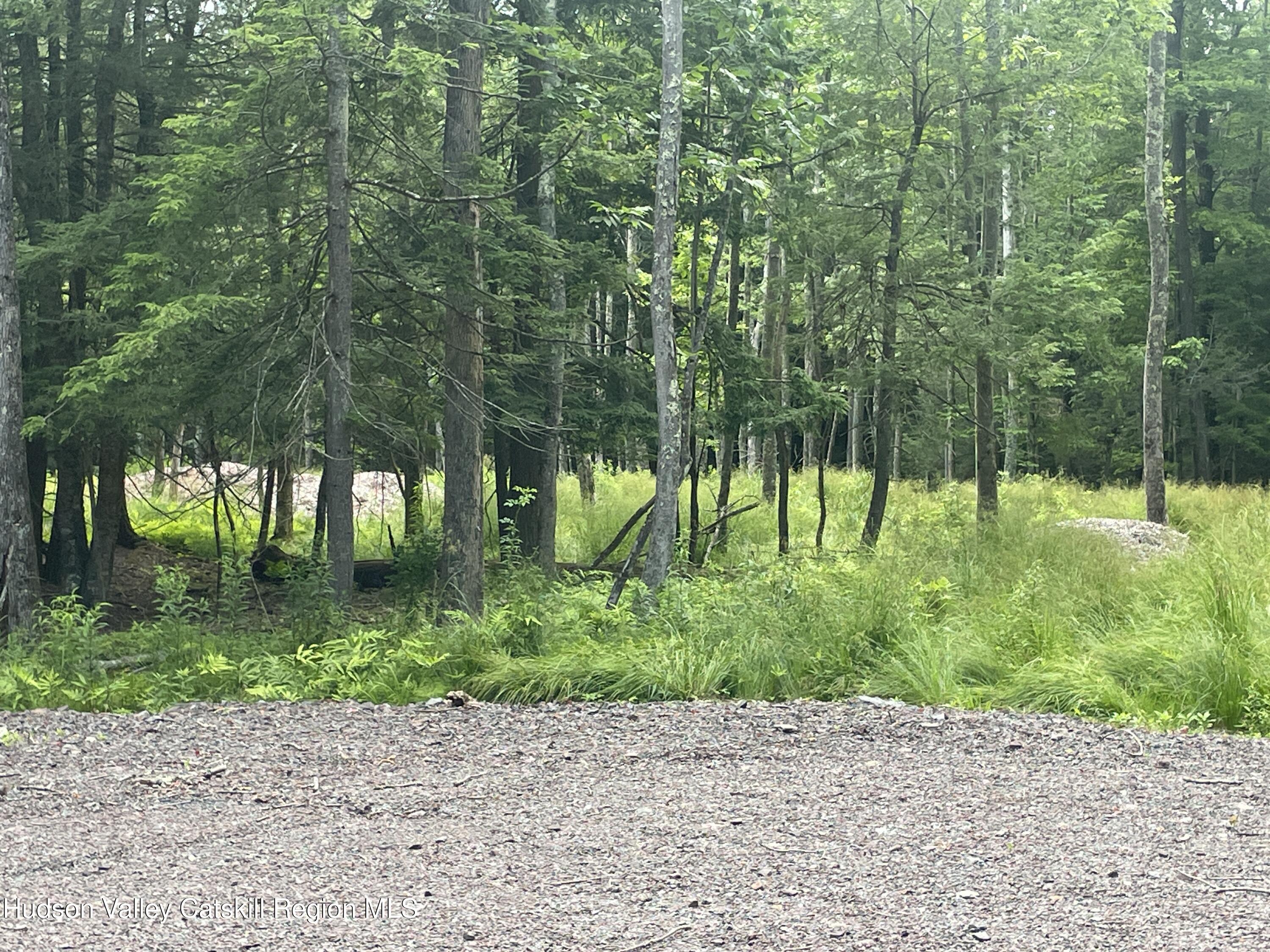 Tbd Boulder Brook Road Windham, NY 12496 - Photo 6 of 57 IMG_0610