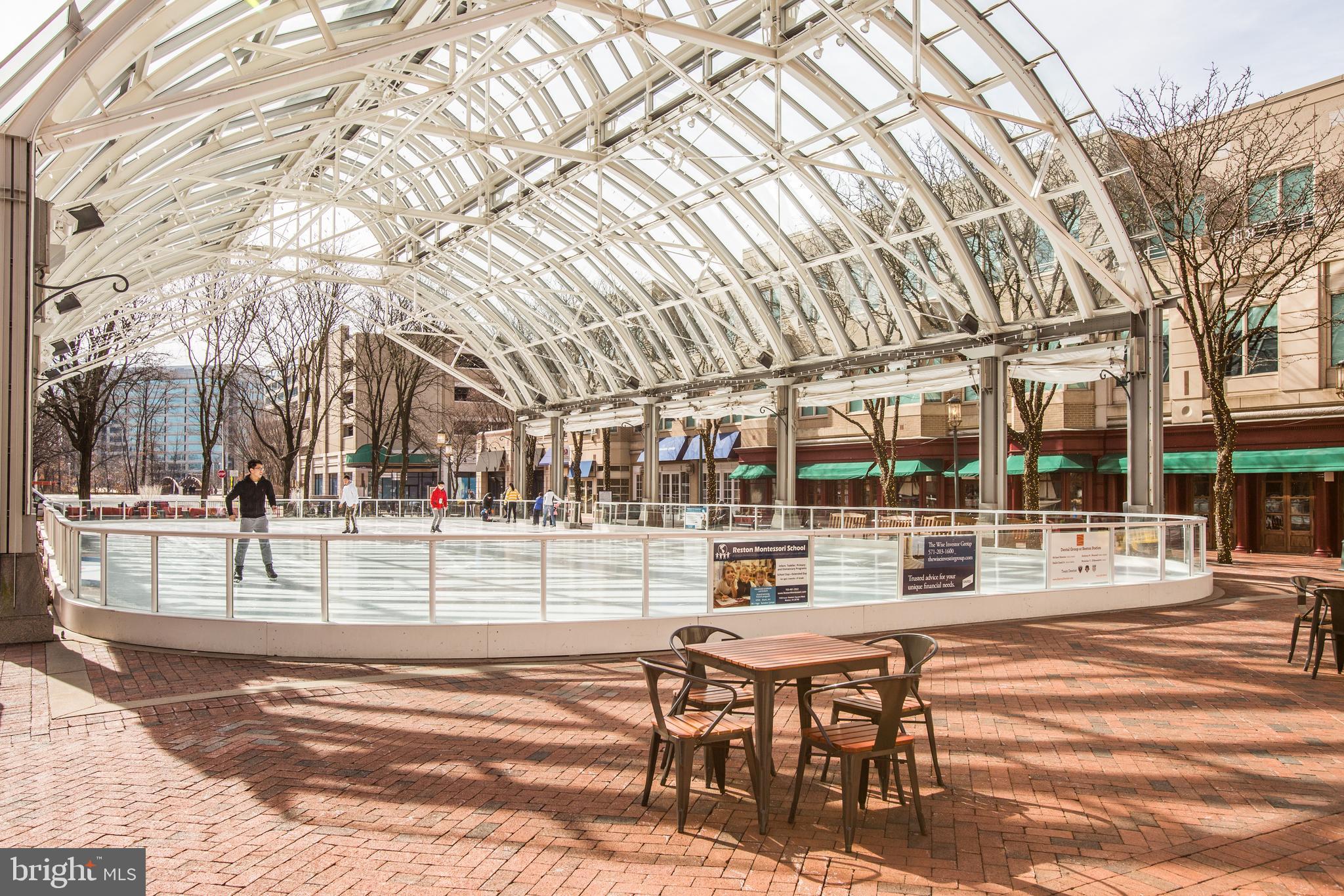 11623 Stoneview Square, Unit 11C Reston, VA 20191 - Photo 26 of 28 Reston Town Center skating in the wnter