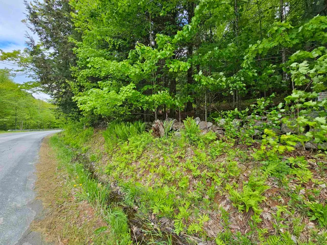 $425,000 | 935 French Meadow Road, Springfield, VT 05156