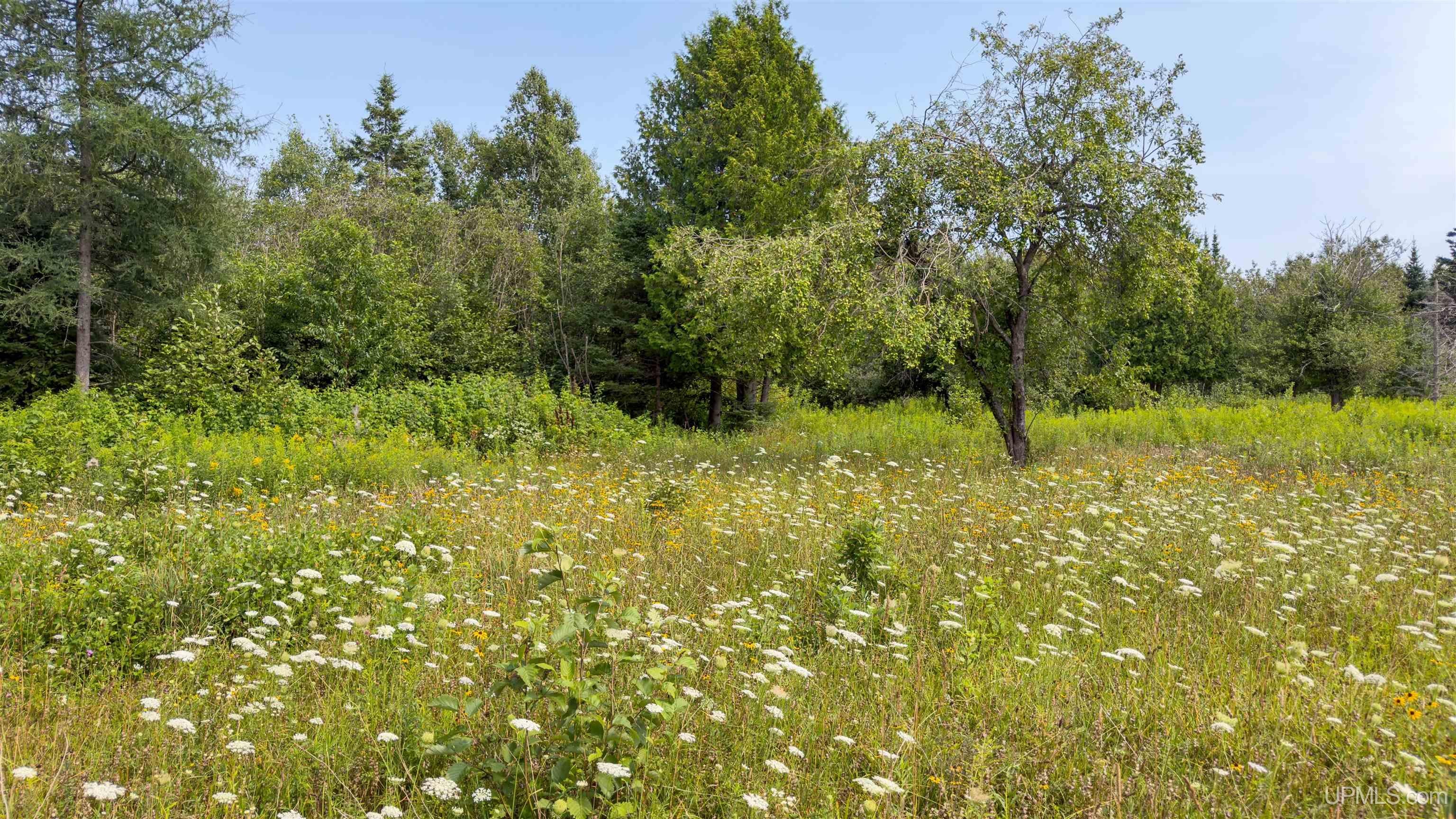 35-acres Town Line Road Gulliver, MI 49840 - Photo 17 of 23 Gallery Image 17