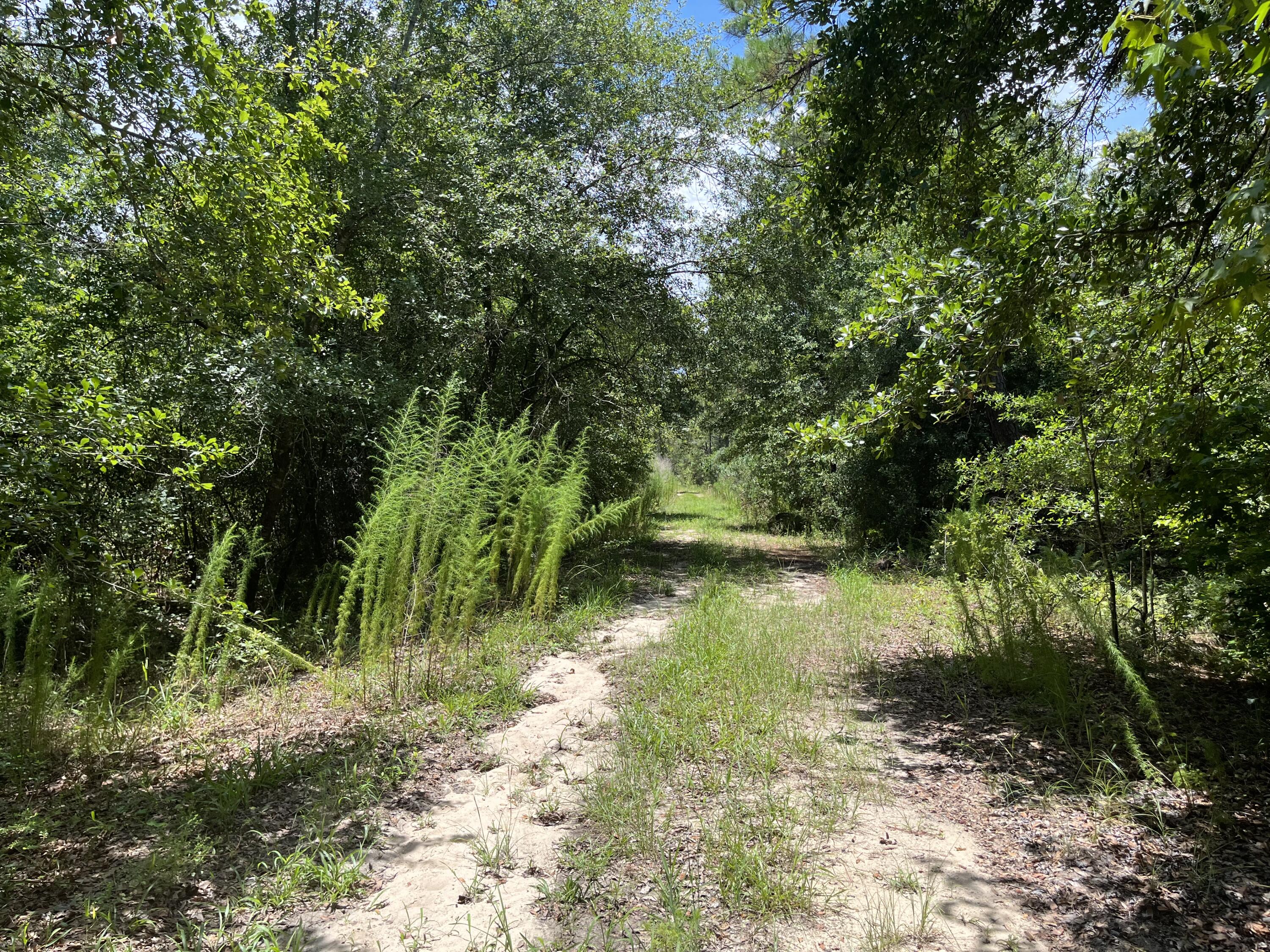 117 Doby Road Satsuma, FL 32189 - Photo 5 of 6 IMG_4168