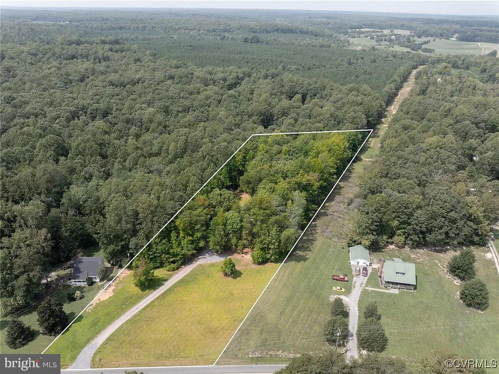 2208 Cartersville Road Mineral, VA 23117 - Photo 43 of 44 Expansive wooded retreat awaits you.