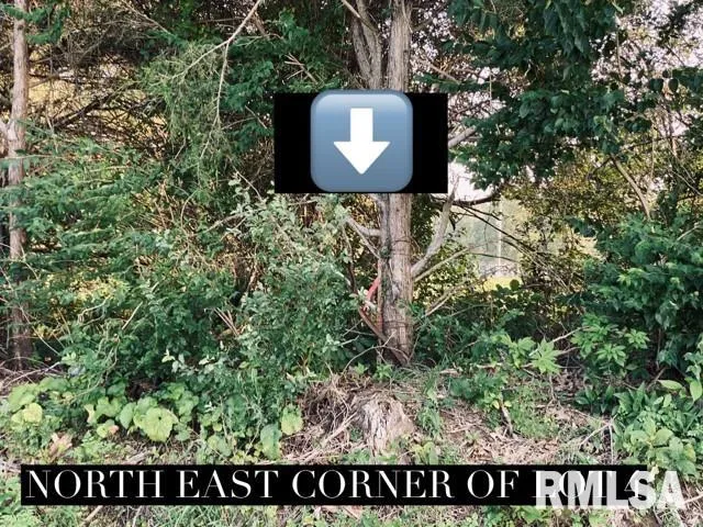 $30,000 | Lot 4 Falcon Road, Carbondale, IL 62902