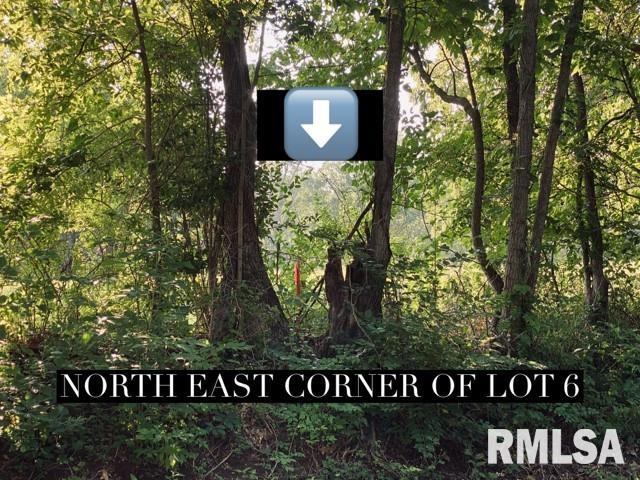 Lot 4 Falcon Road Carbondale, IL 62902 - Photo 8 of 9