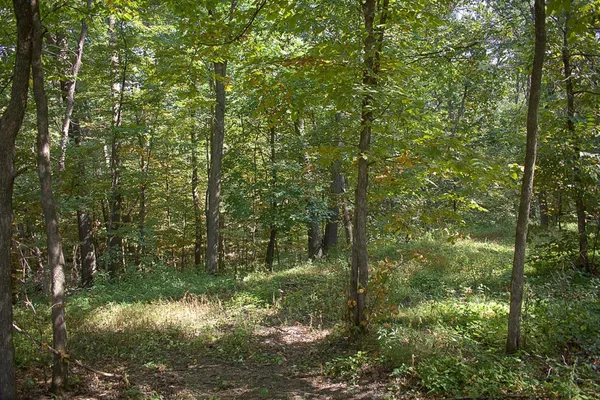 $475,000 | 17963 27th Avenue, Clearwater, MN 55320