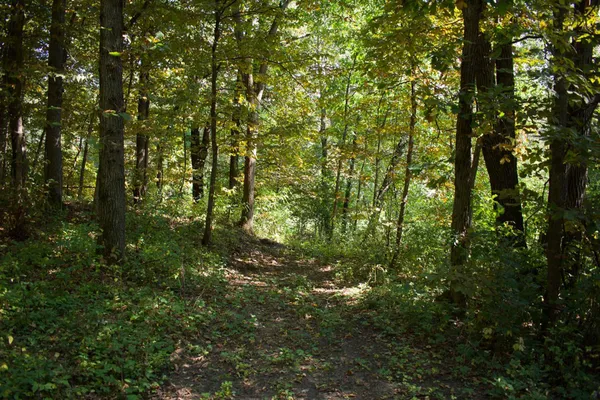 $475,000 | 17963 27th Avenue, Clearwater, MN 55320