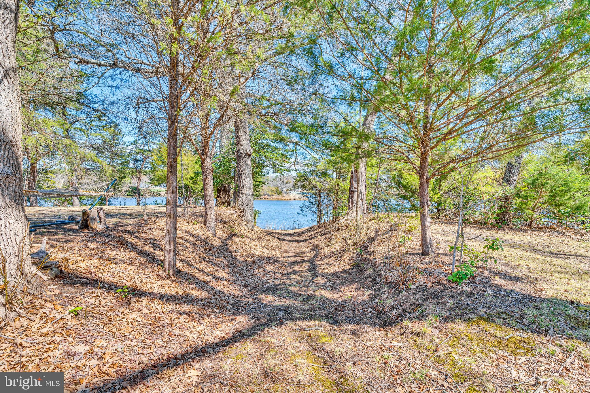 320 Pine Road Hague, VA 22469 - Photo 45 of 77 Gallery Image 45