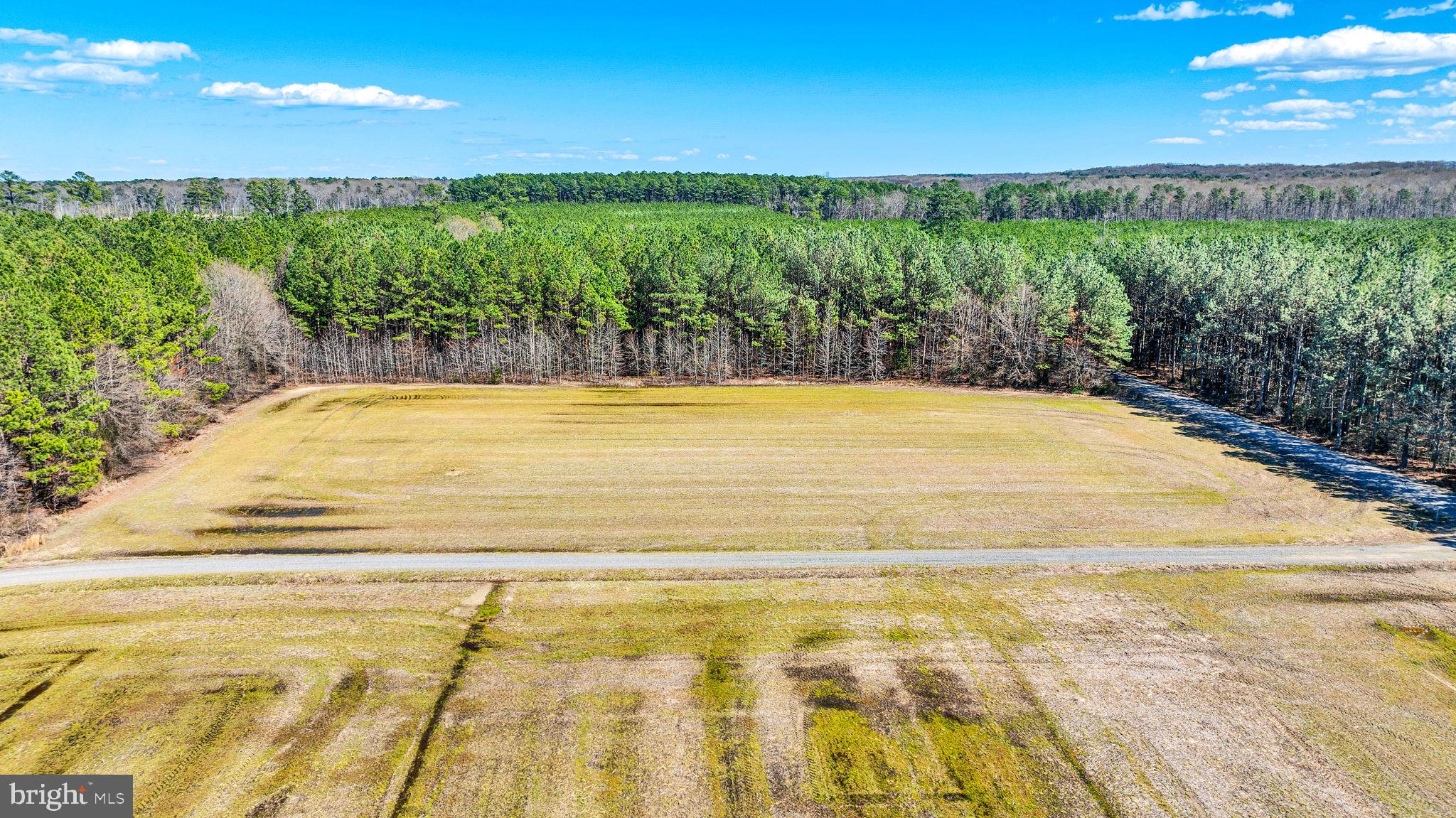 320 Pine Road Hague, VA 22469 - Photo 68 of 77 Gallery Image 68