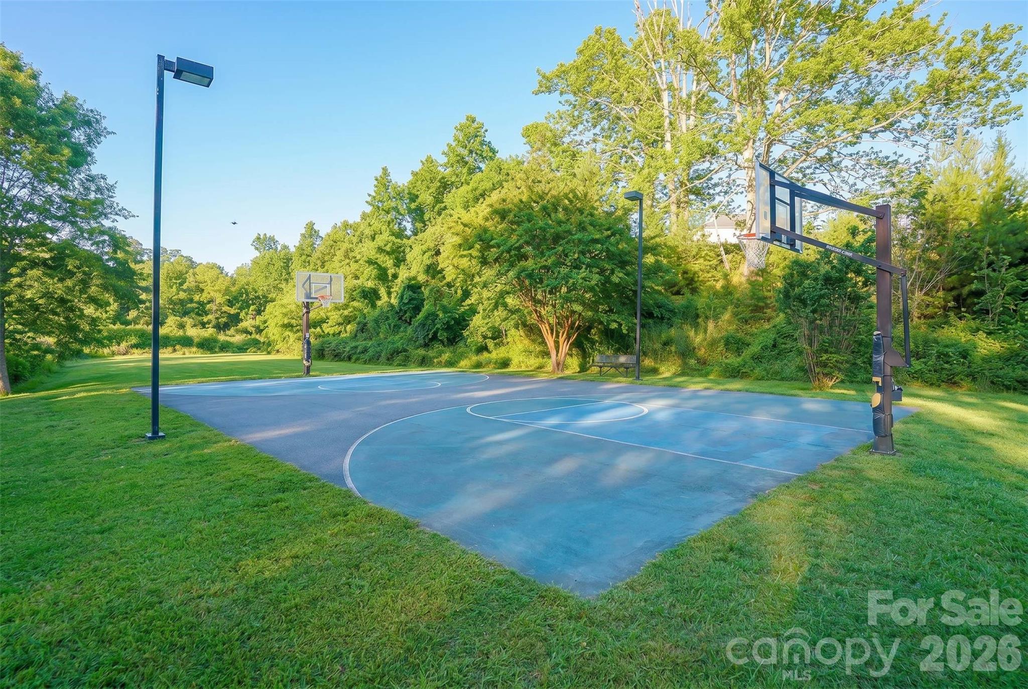 165 Israel Road Leicester, NC 28748 - Photo 46 of 48