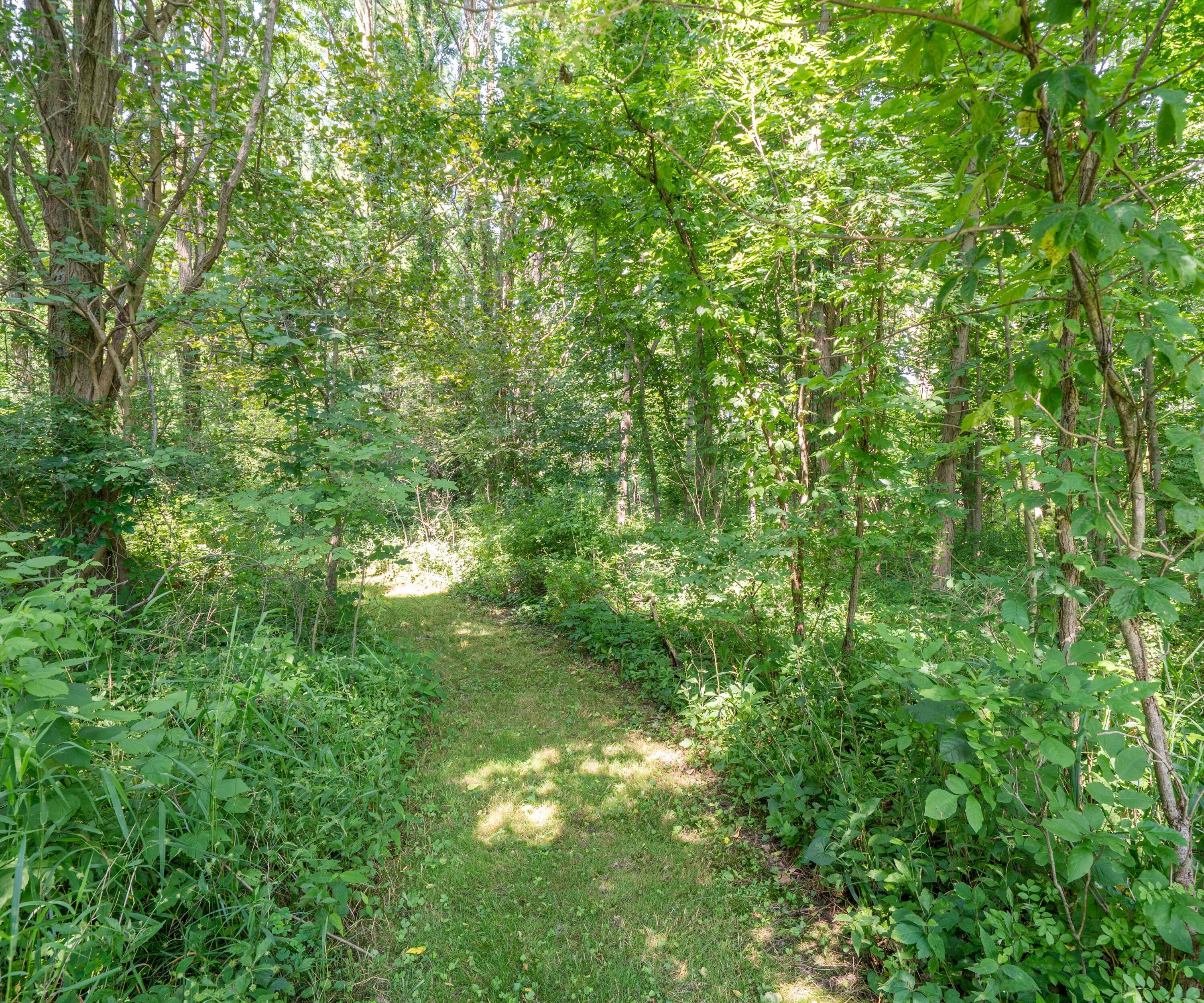 278 East Southern Road Coldwater, MI 49036 - Photo 45 of 56 50-DSC04994