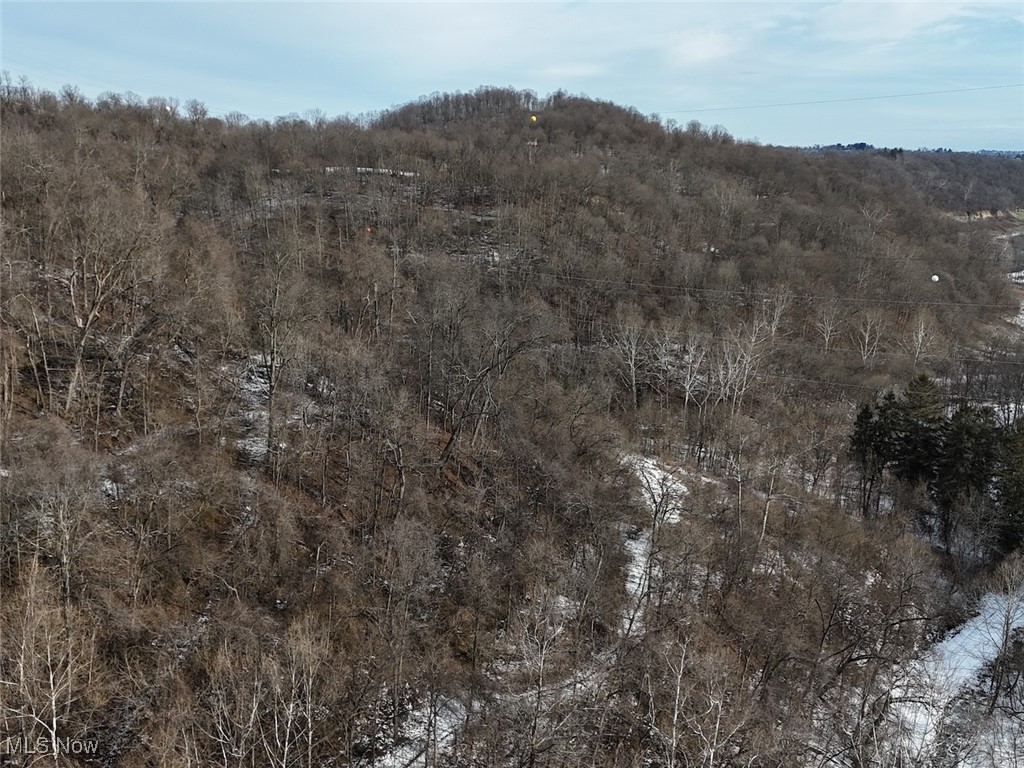 0 Trough Run Road Bellaire, OH 43906 - Photo 27 of 46 View of woods