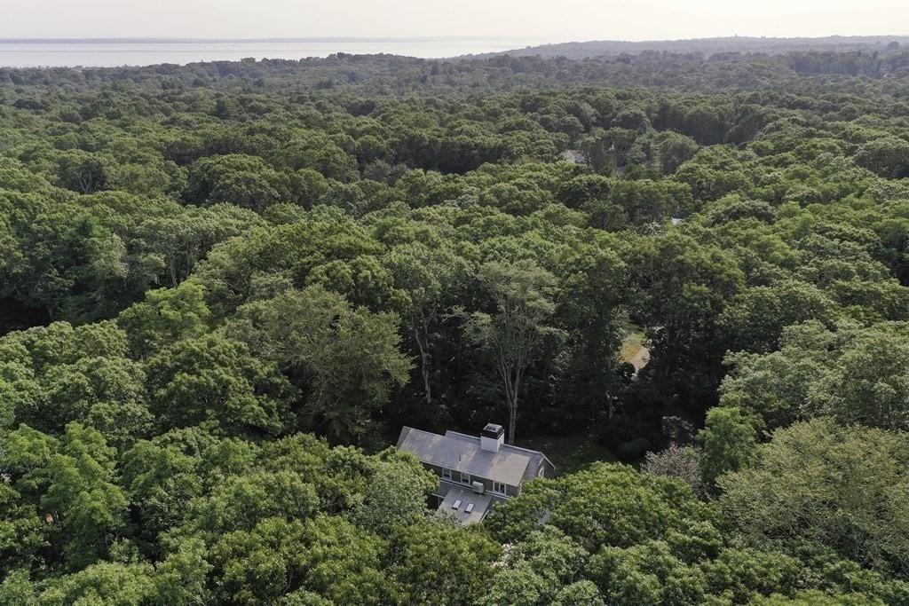 57 Two Ponds Road Falmouth, MA 02540 - Photo 38 of 42 an aerial view of a forest with houses