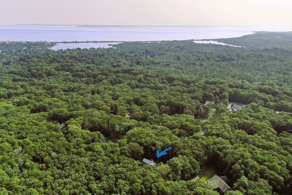 57 Two Ponds Road Falmouth, MA 02540 - Photo 39 of 42 a view of a city with lush green forest